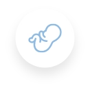 Gynaecological Icon Gynaecological Icon